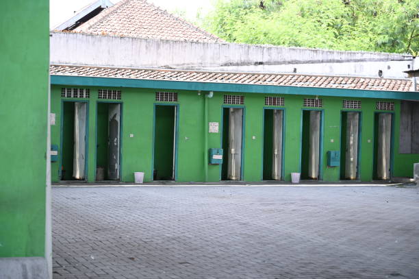 Best Local porta potty services  in Denmark, SC